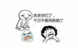 兴义债务清欠服务